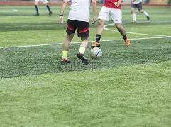 哈兰德激情,社媒发声,激动宣布,宝盈,宝盈APP,宝盈官方,宝盈官网,宝盈入口,宝盈登录,宝盈链接