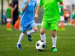 尼科乒乓球,败北遭罚藏,桌下,宝盈,宝盈APP,宝盈官方,宝盈官网,宝盈入口,宝盈登录,宝盈链接