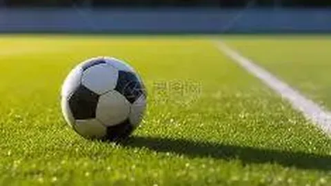 Bbin宝盈 产品 231224 dr7