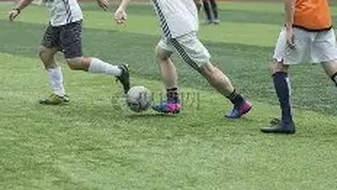 Bbin宝盈 资讯 091339 bv6